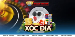 Vai Trò của xóc đĩa